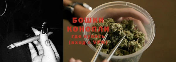 шишки Мегион