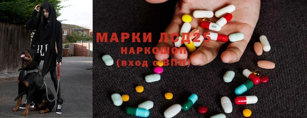 амф Алексин