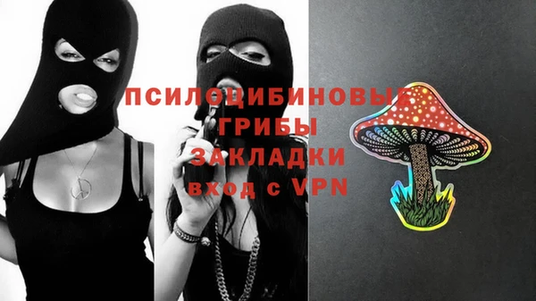 амф Алексин