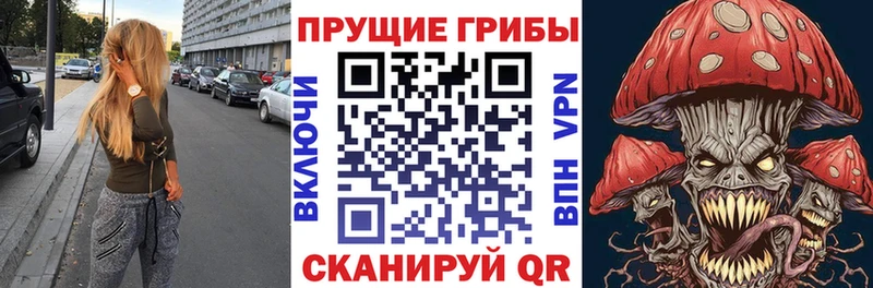 Галлюциногенные грибы мицелий  Миньяр 
